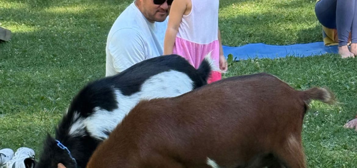 Goat Yoga at A Tiny House Resort