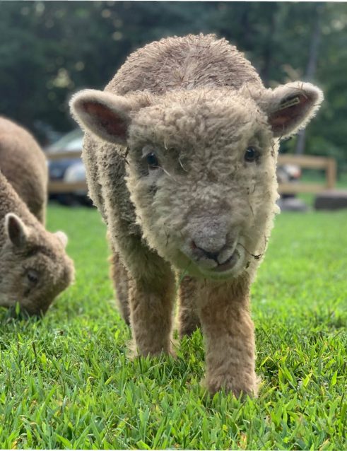 "family friendly activities in the Catskills"