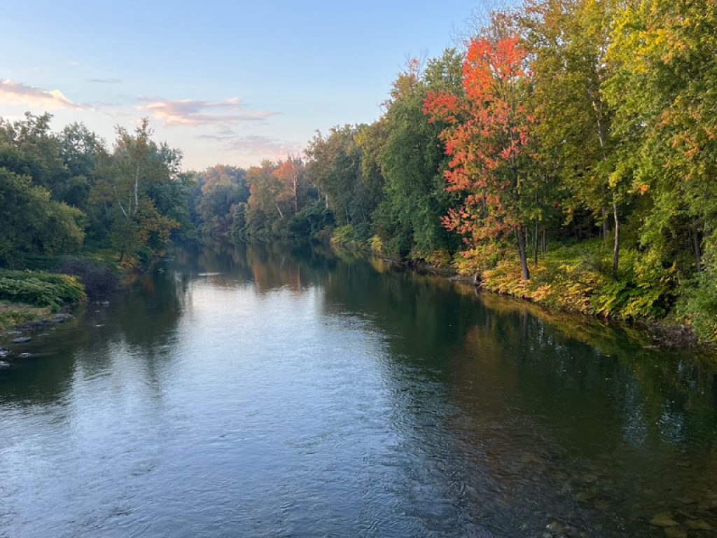 Creek at A Tiny House Resort
