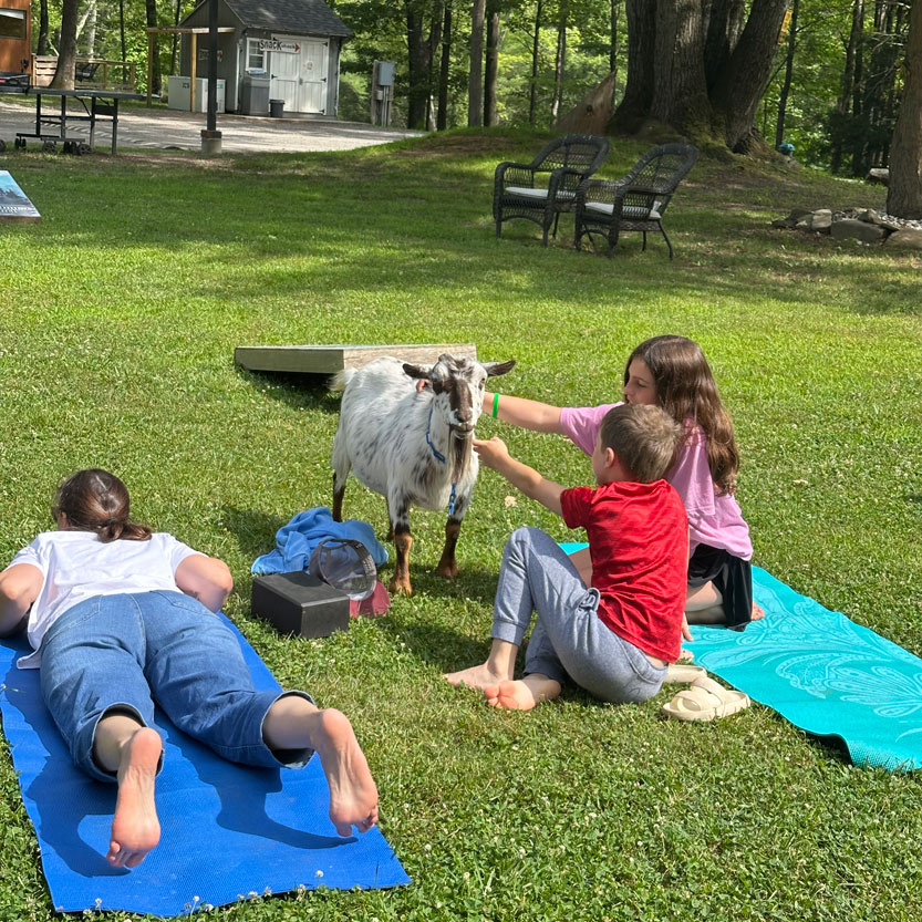 Goat Yoga at A Tiny House Resort
