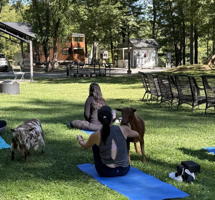 Goat Yoga at A Tiny House Resort