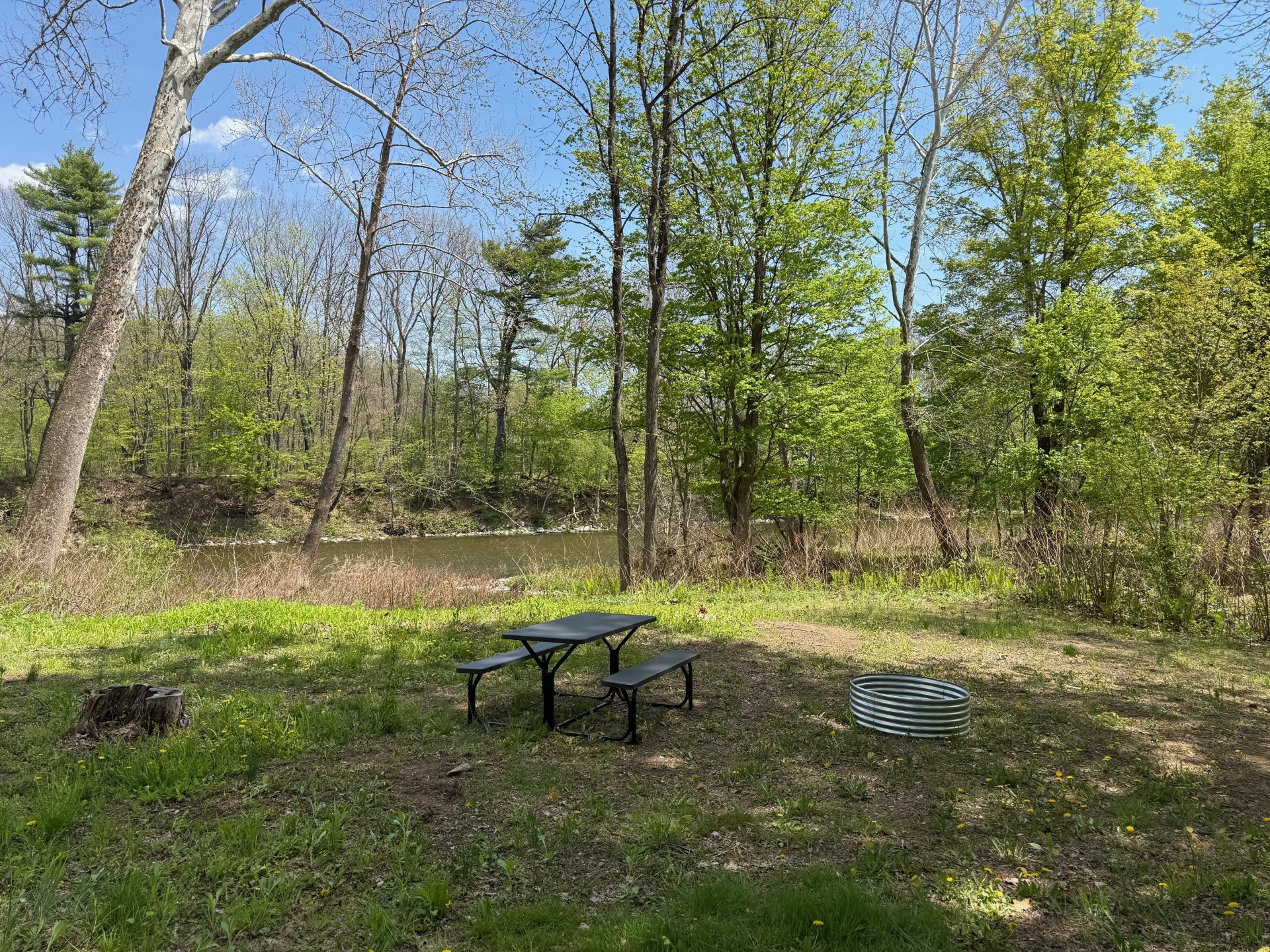 Picnic table and metal fire ring on a grassy riverside with budding trees and a blue sky.