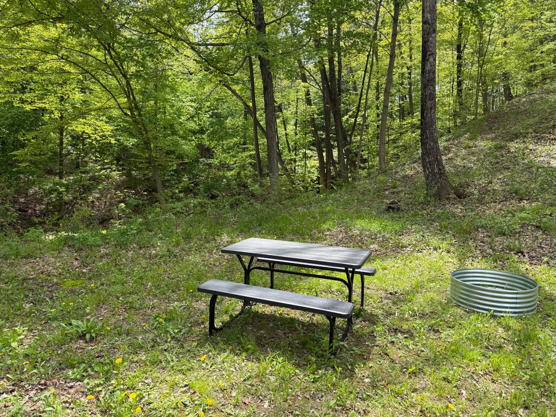 Forest clearing with a weathered metal picnic table surrounded by green trees and undergrowth.