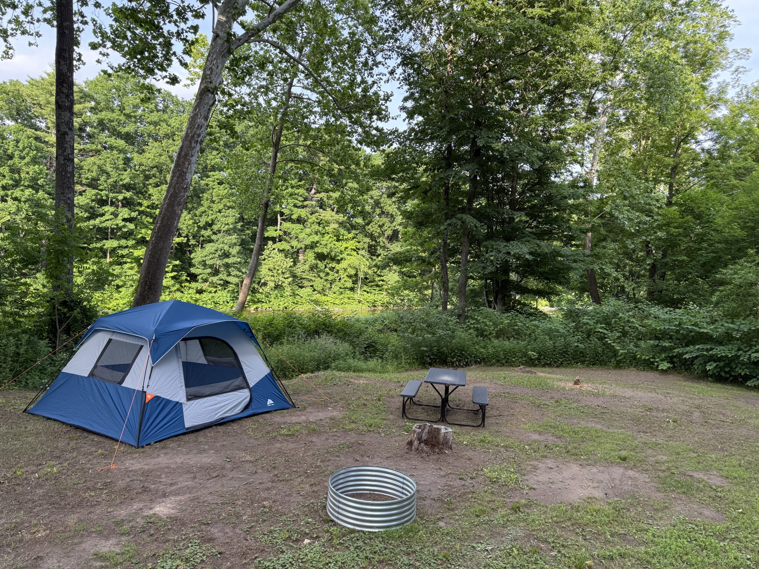 Blue and gray camping tent pitched on dirt under leafy trees, with a metal fire ring and a picnic table nearby in a forest campground.