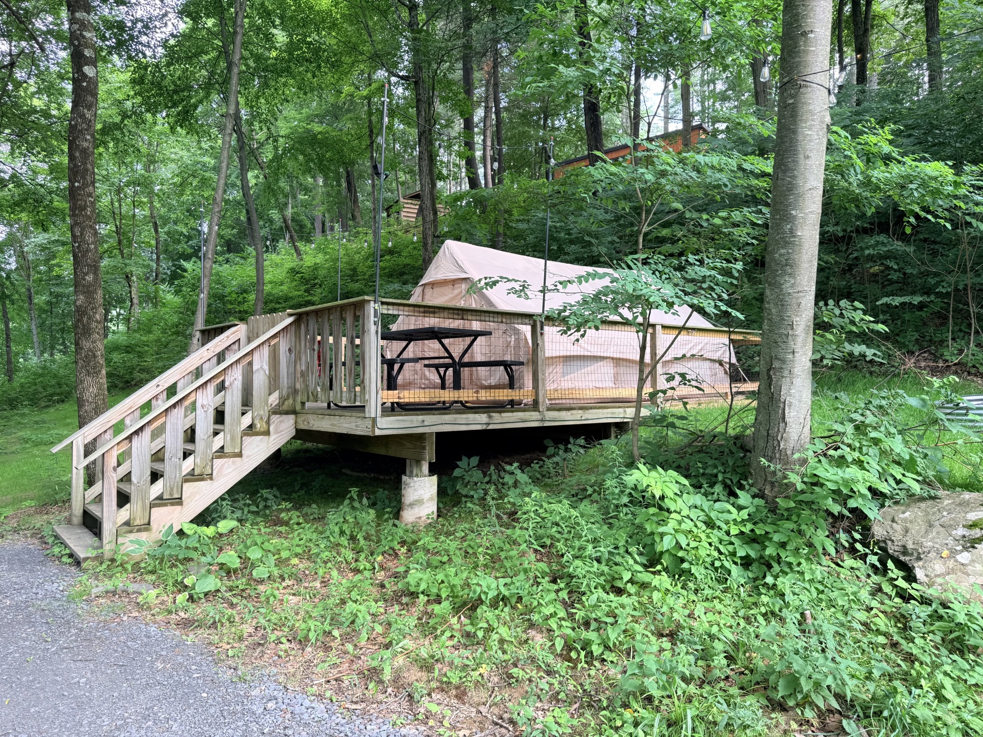 Beige camping tent pitched on a raised wooden deck surrounded by trees in a forest, with a black picnic table nearby and string lights above.